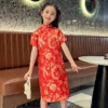 Girls Chinese Cheongsam Dress Summer Princess